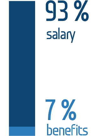 Breakdown of&nbsp;the 2015 compensation package by&nbsp;the Group’s Russian operations